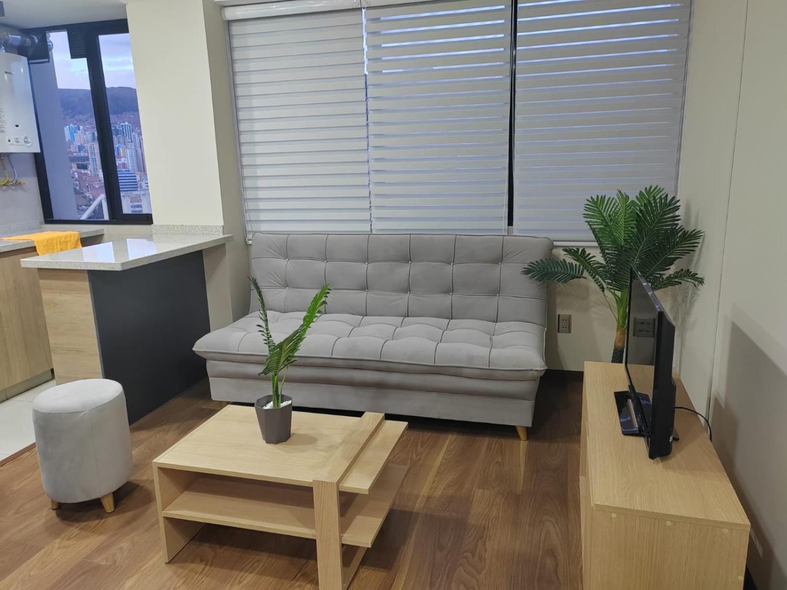 Departamento Centrico, Pasos A Embajada Americana, Multicine
